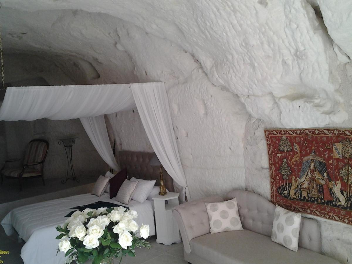 Bed and Breakfast Le Manoir Des Roches Bourré Esterno foto