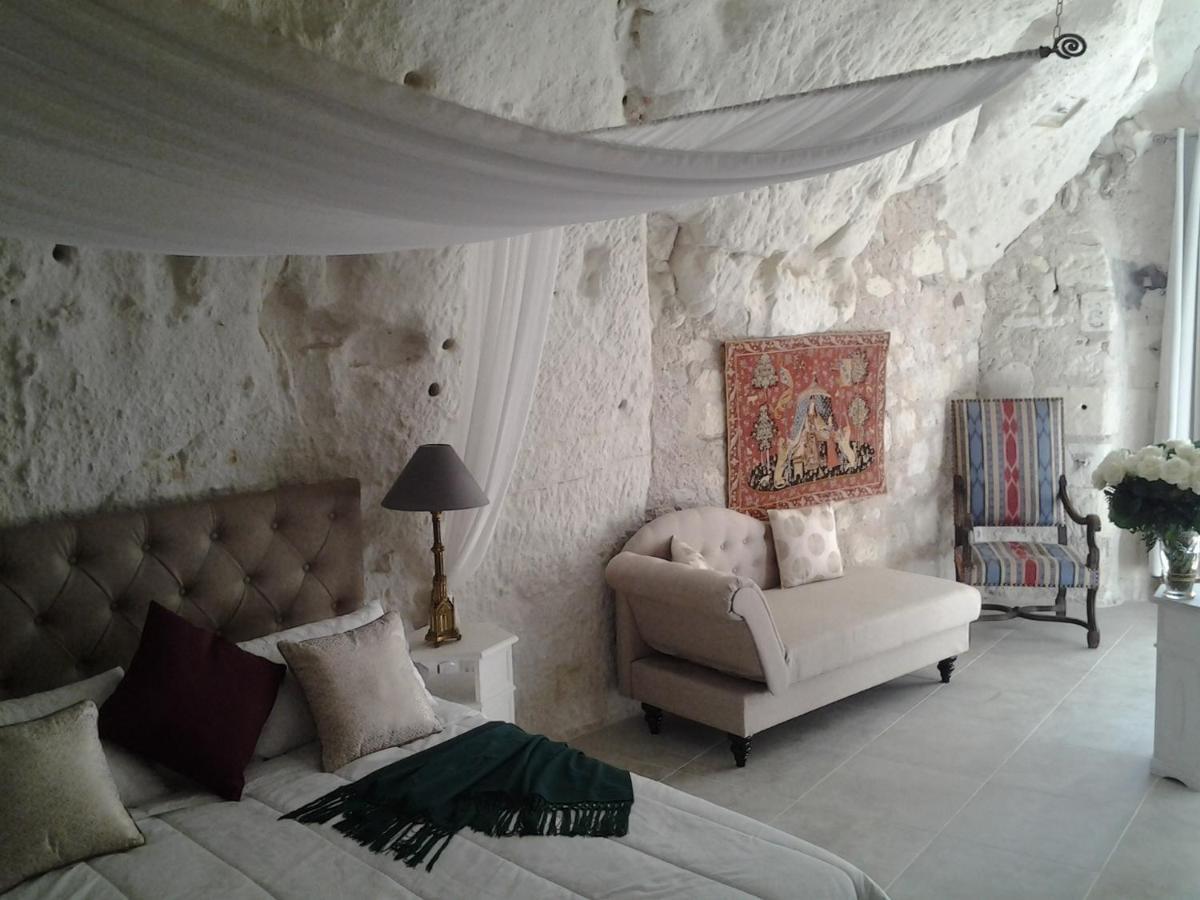 Bed and Breakfast Le Manoir Des Roches Bourré Esterno foto