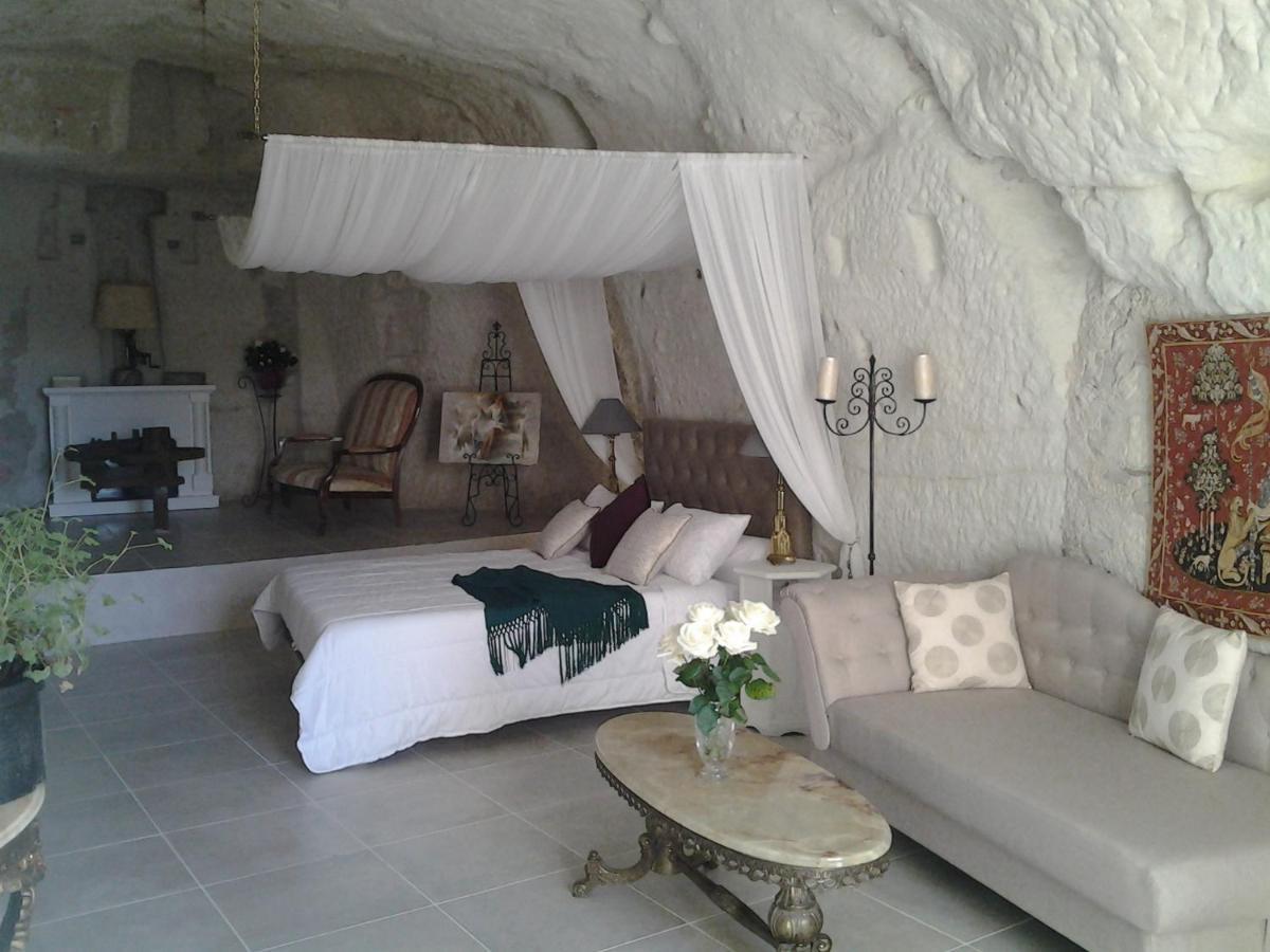 Bed and Breakfast Le Manoir Des Roches Bourré Esterno foto