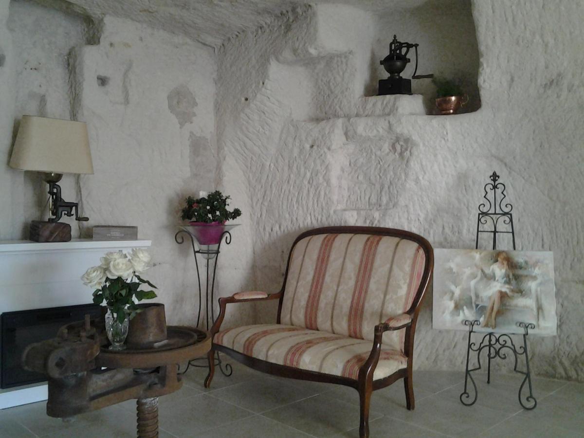 Bed and Breakfast Le Manoir Des Roches Bourré Esterno foto