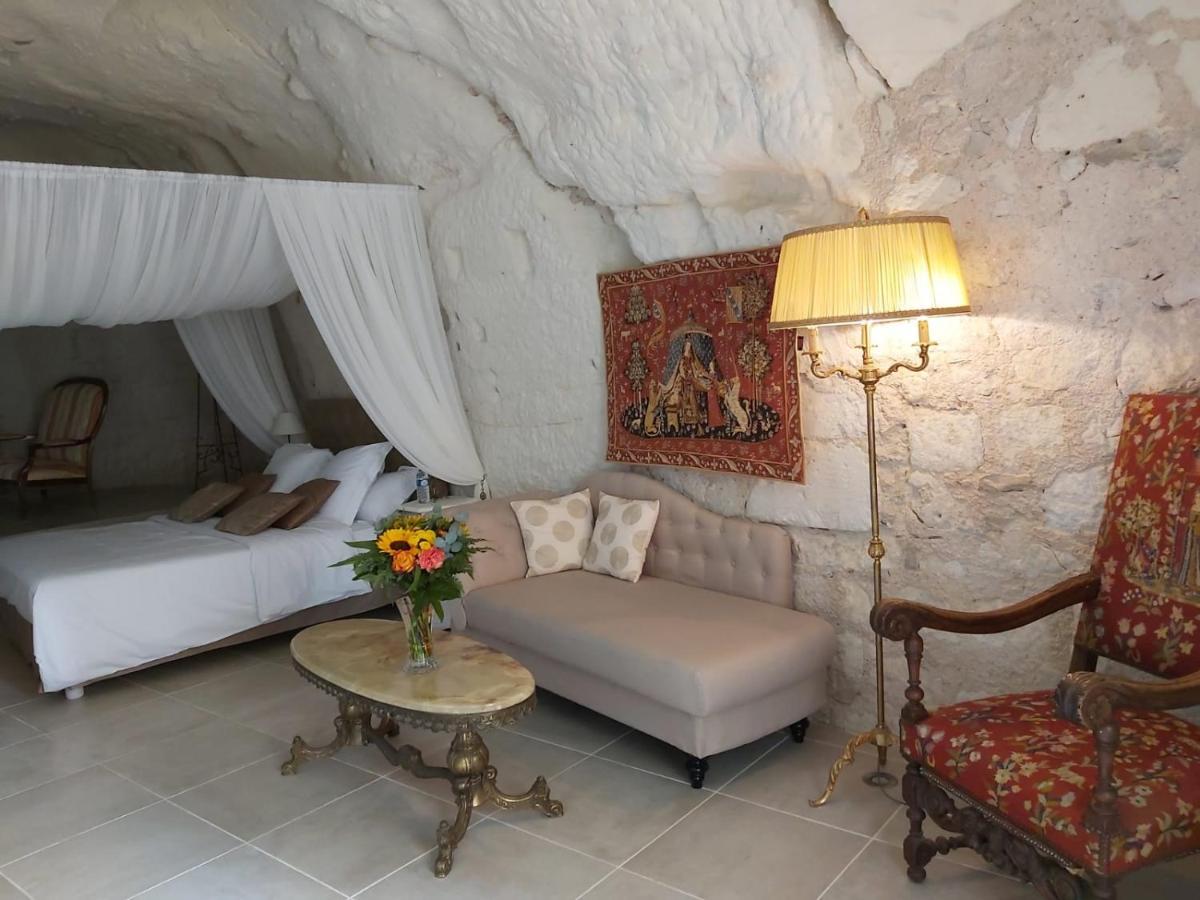 Bed and Breakfast Le Manoir Des Roches Bourré Esterno foto