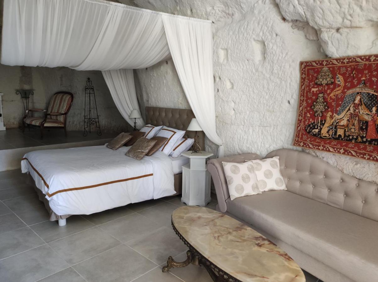 Bed and Breakfast Le Manoir Des Roches Bourré Esterno foto