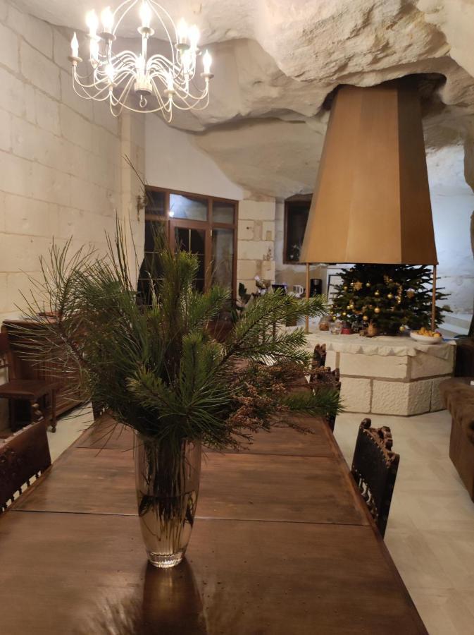 Bed and Breakfast Le Manoir Des Roches Bourré Esterno foto
