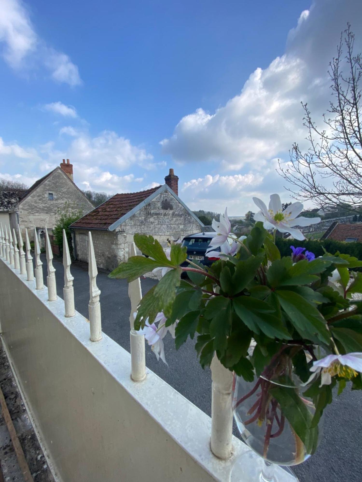 Bed and Breakfast Le Manoir Des Roches Bourré Esterno foto
