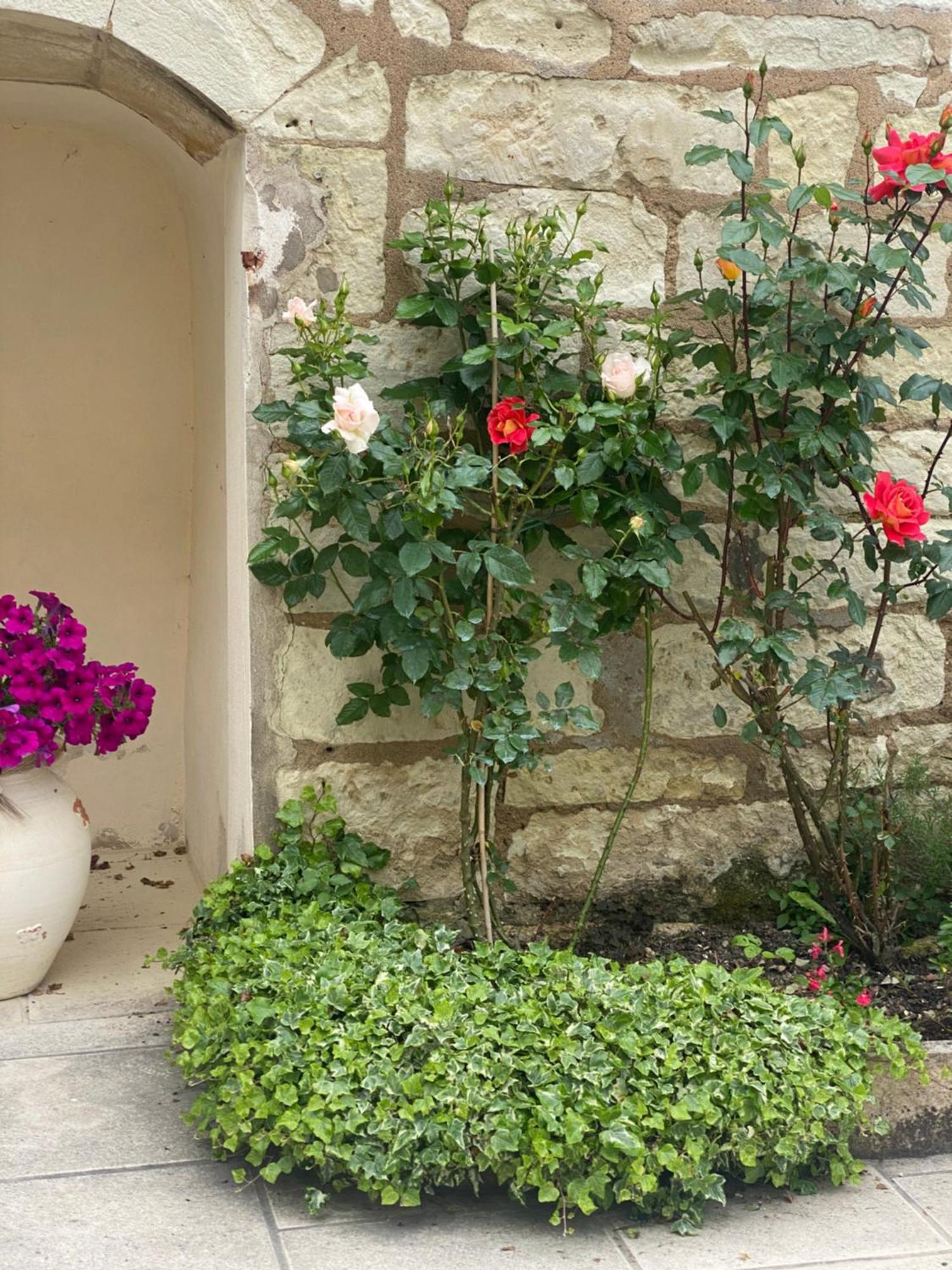 Bed and Breakfast Le Manoir Des Roches Bourré Esterno foto