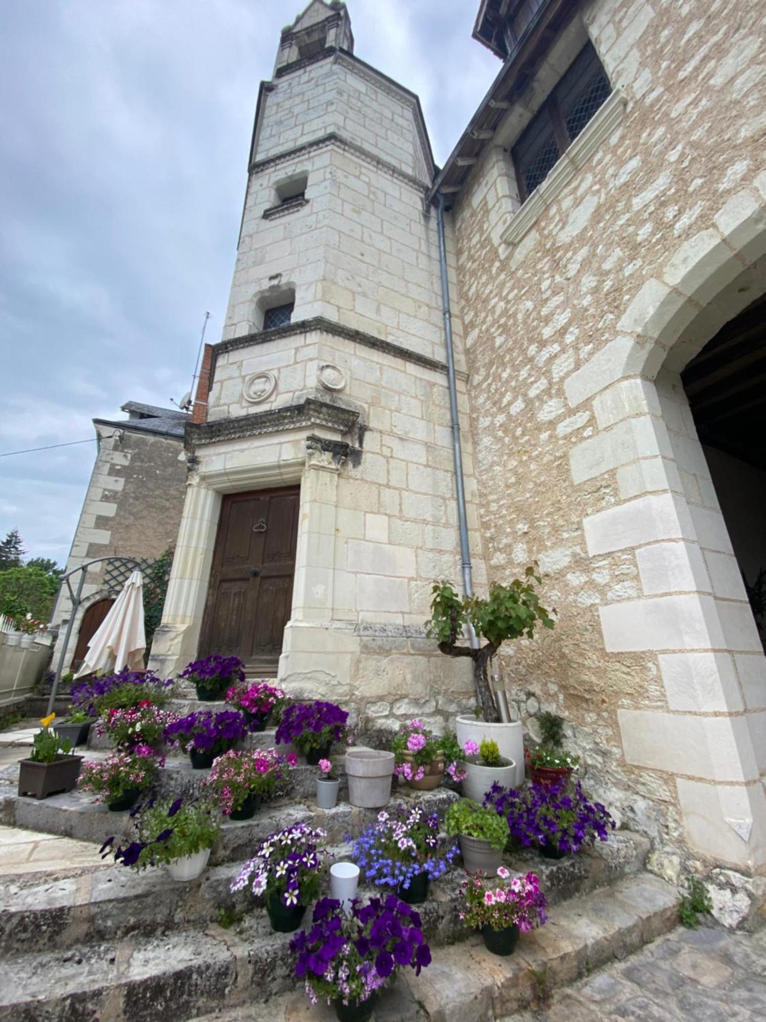 Bed and Breakfast Le Manoir Des Roches Bourré Esterno foto